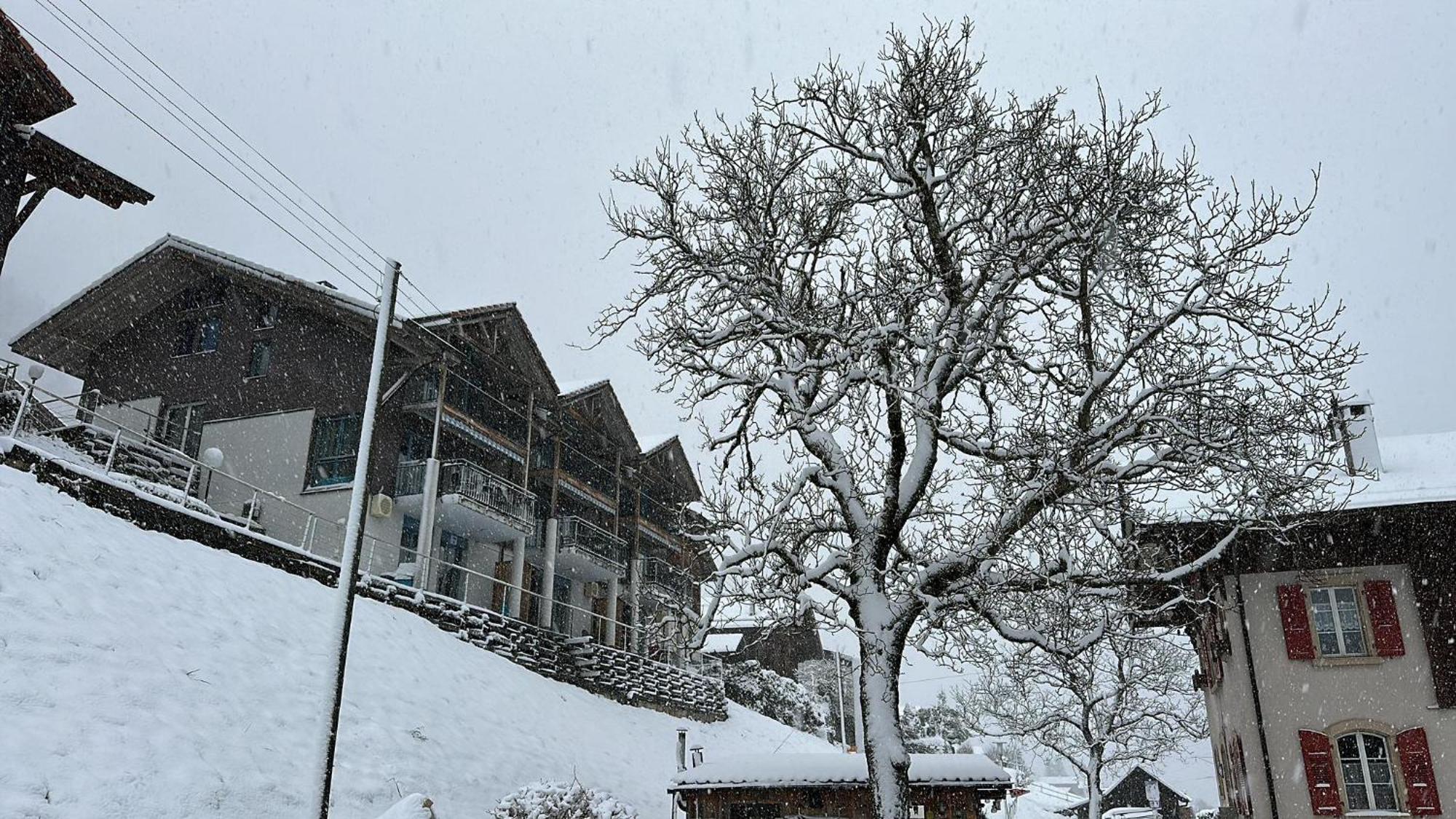 Lake View Residence Niederried bei Interlaken Экстерьер фото