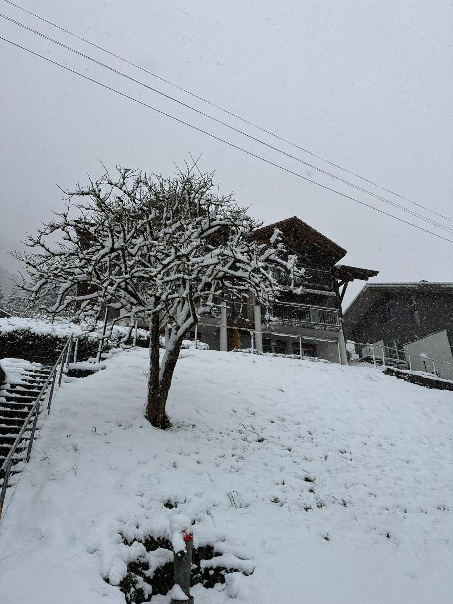 Lake View Residence Niederried bei Interlaken Экстерьер фото